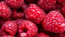raspberries